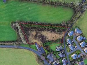 Photo 1- click for photo gallery